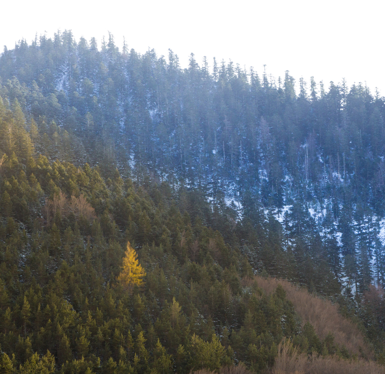 Les montagnes du Vercors © Mark Angelo