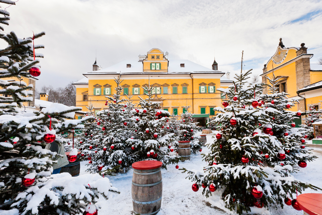 Salzburger Advent - gemeinsam bis zum Live-Musik-Abend