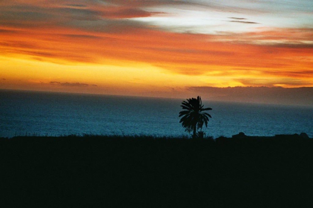 O.k. - gemogelt: Nicht Brasilien, sondern Teneriffa 2005 - trotzdem schön...