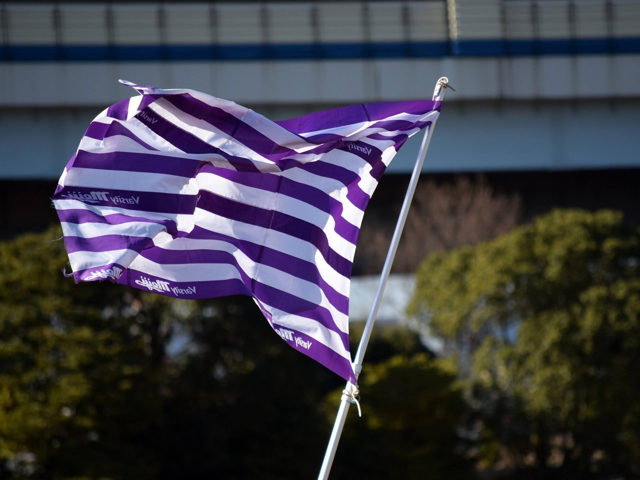 第52回全国大学ラグビーフットボール選手権大会 セカンドステージ 第1戦 明治大学校友会兵庫県支部公式サイト 第52回全国大学ラグビーフットボール選手権大会 セカンドステージ 第1戦 明治大学校友会兵庫県支部公式サイト