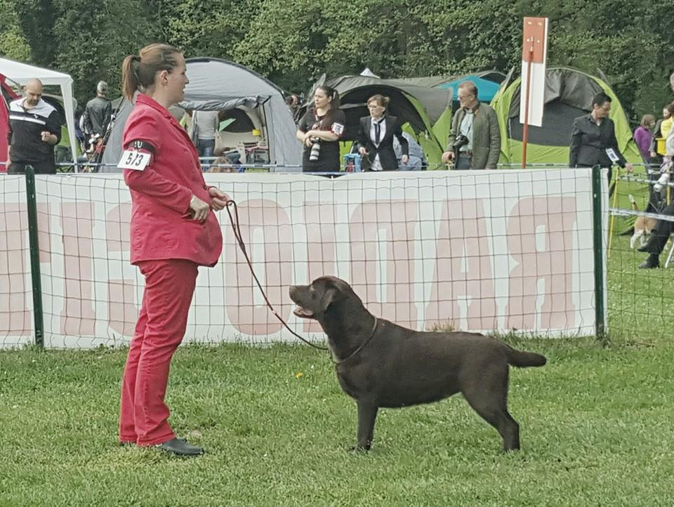 Slovénie Pohorje 2016