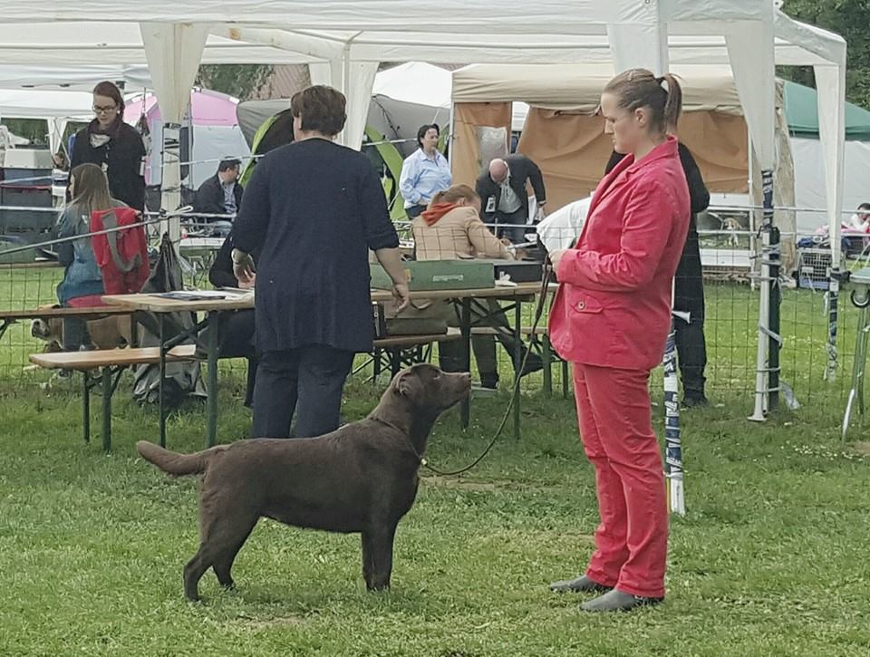 Slovénie Pohorje 2016