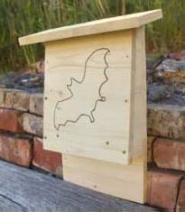 Fledermauskasten