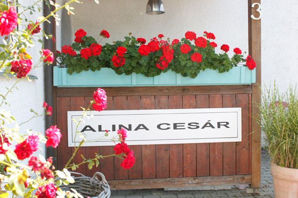 Atelier Alina Cesár - Vergoldungen