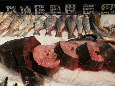 レストランの魚 レストラン内の魚店 キャビヤが採れる黄魚 （チョウザメ）も切り身で 売っていた。鯉、鮒、鯰 以外は知らない魚だた。