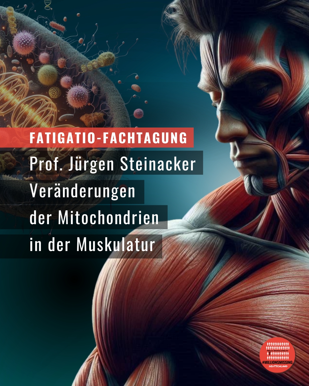 Prof. Jürgen M. Steinacker: Funktionelle und morphologische Veränderungen in Mitochondrien in der Muskulatur