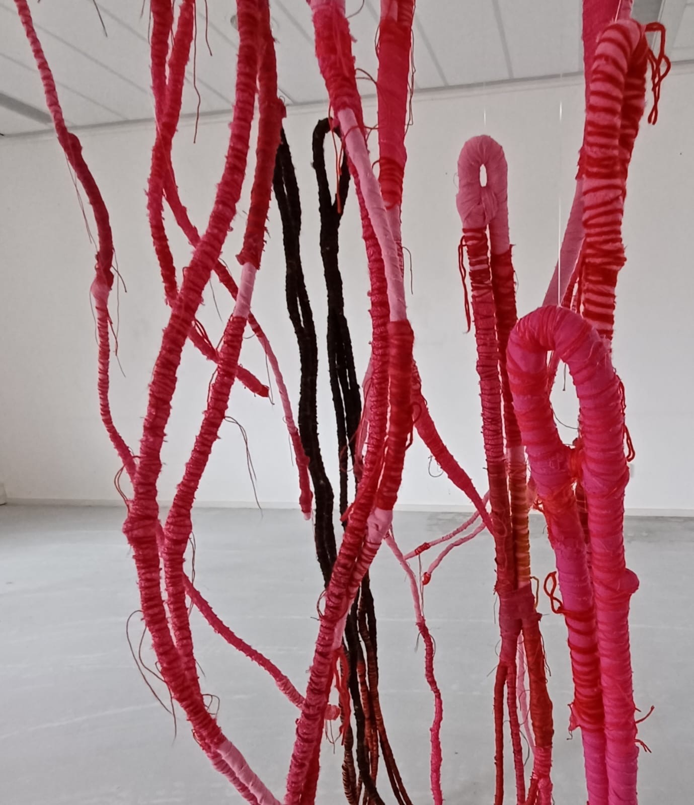 Roots to Pachamama detail