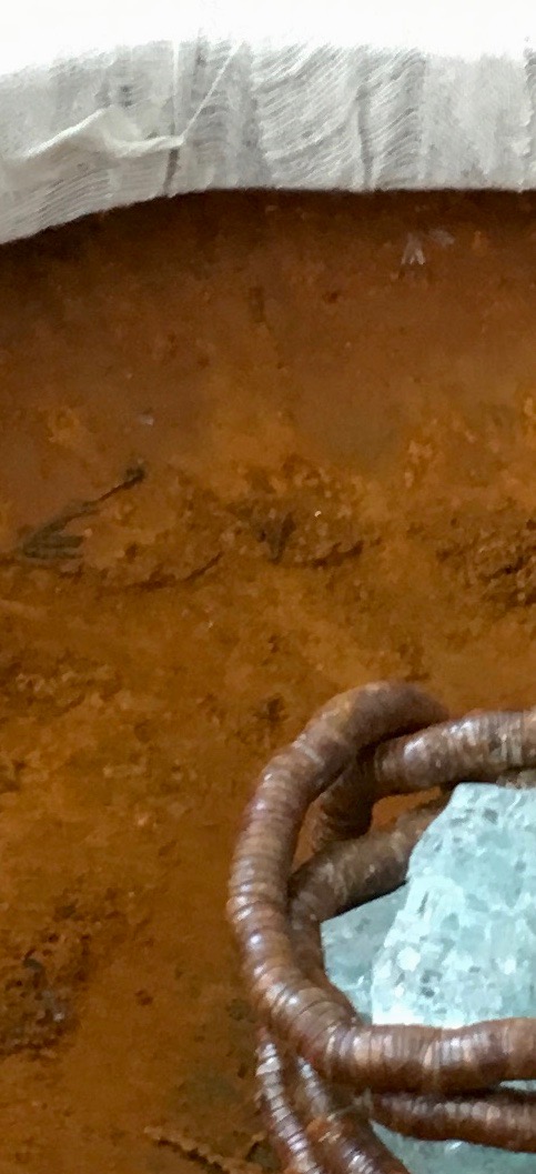 Roestig werk, detail (nog niet geëxposeerd)