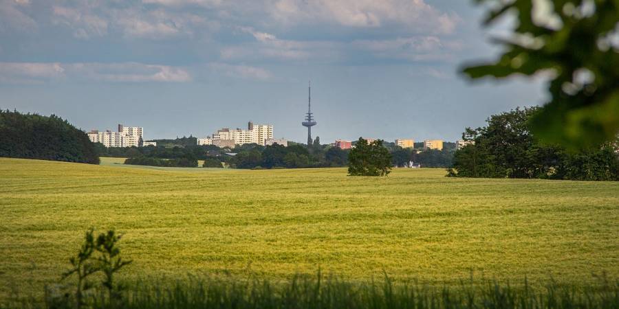 Felder vor den Toren der schleswig-holsteinischen Landeshauptstadt Kiel (Symbolbild: Michael Treu)