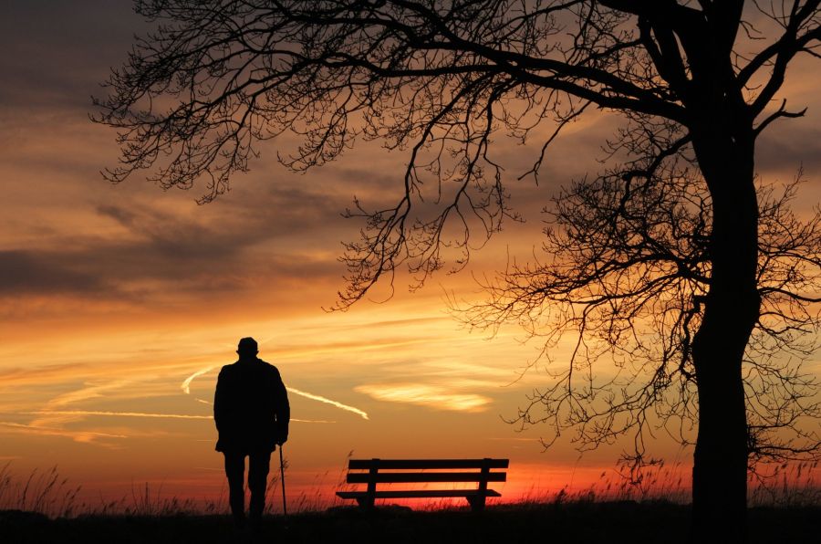 Ein alter Mann mit Stock steht bei Sonnenuntergang auf dem Land neben einer Bank, die unter einem Baum steht. (Symbolbild: NoName_13)
