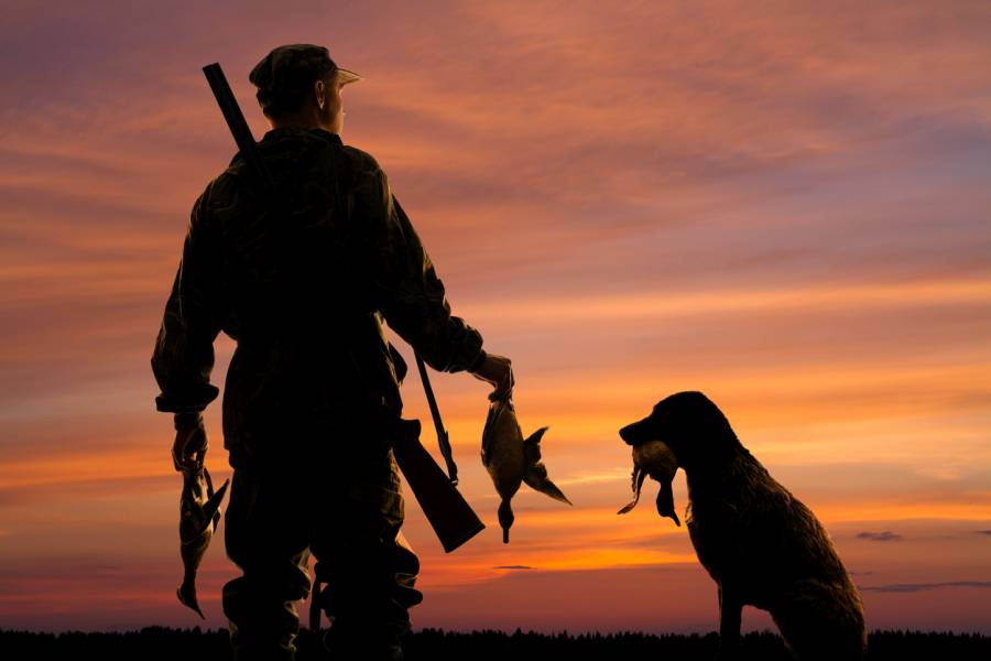 Jäger mit Jagdhund und erlegten Enten im Sonnenuntergang. (Symbolbild: iStock/PavelRodimov)
