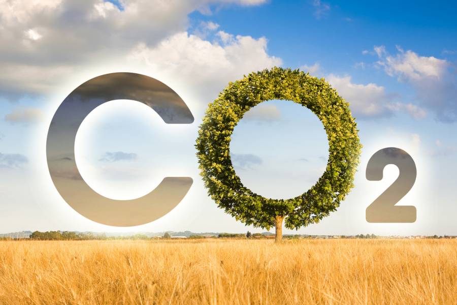 LULUCF: Die Verordnung zur Anrechnung von CO₂ aus Grünland, Ackerland und Wäldern. (Symbolbild: iStock/Francesco Scatena)