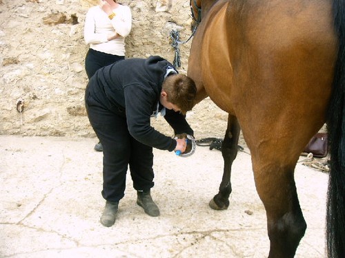 le curage des pieds c'est important et Thomas s'applique