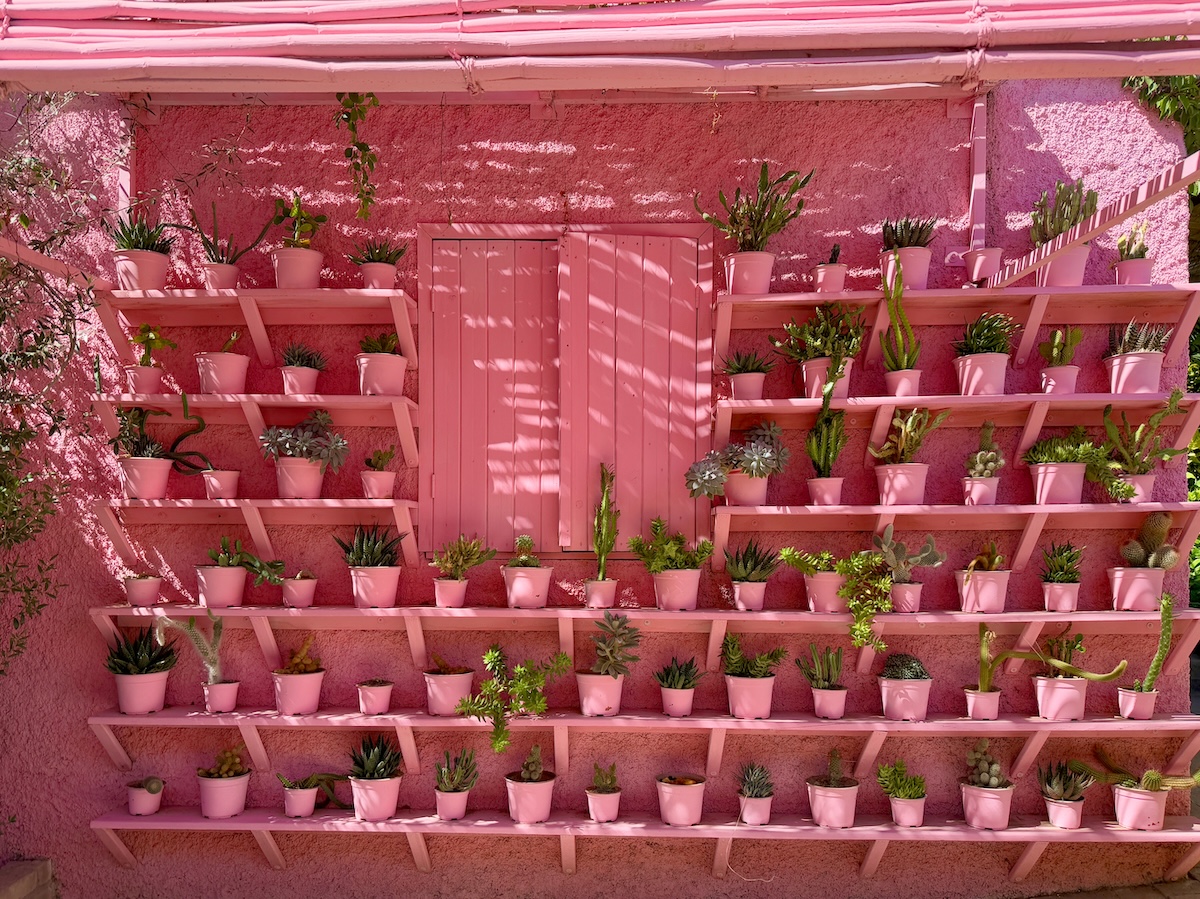 In the Cielito Lindo market, Todos Santos