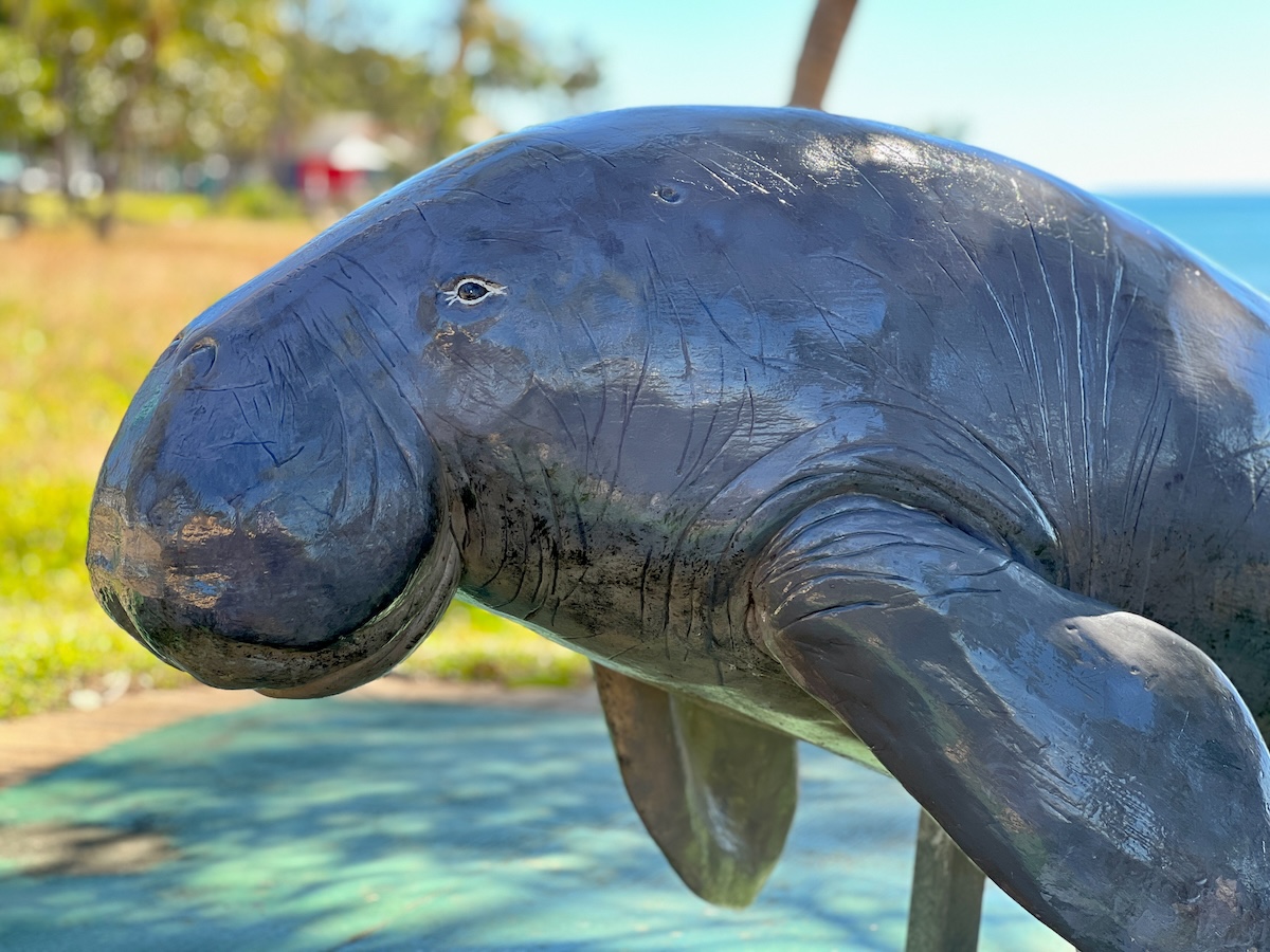 Dugong sculpture