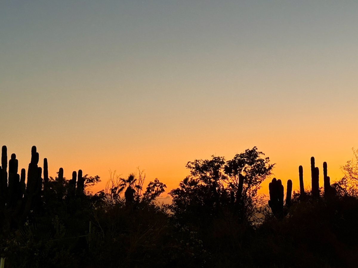 Sunset in Cabo