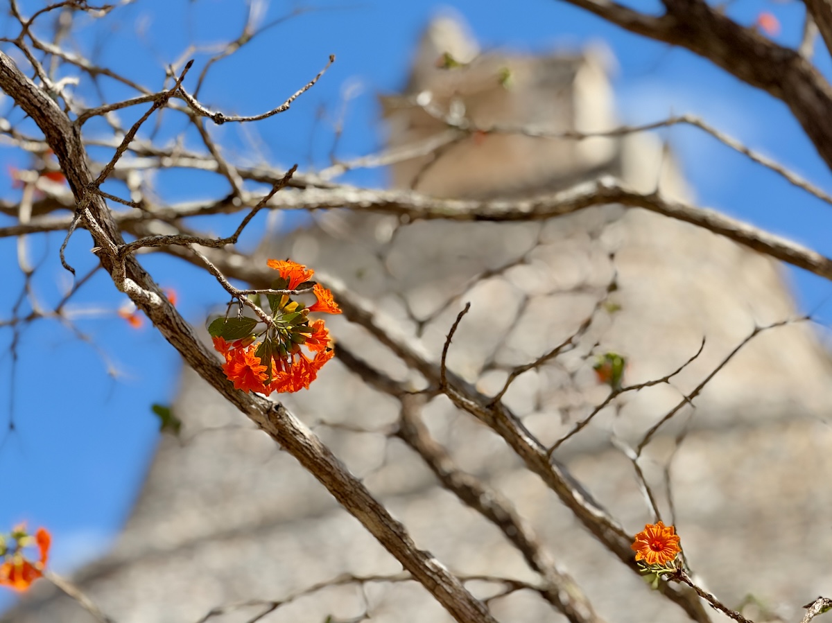 At Uxmal
