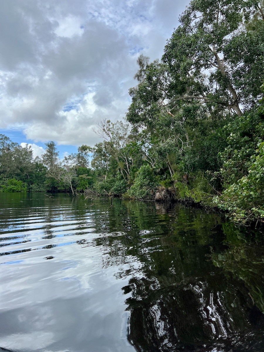 Kin Kin Creek