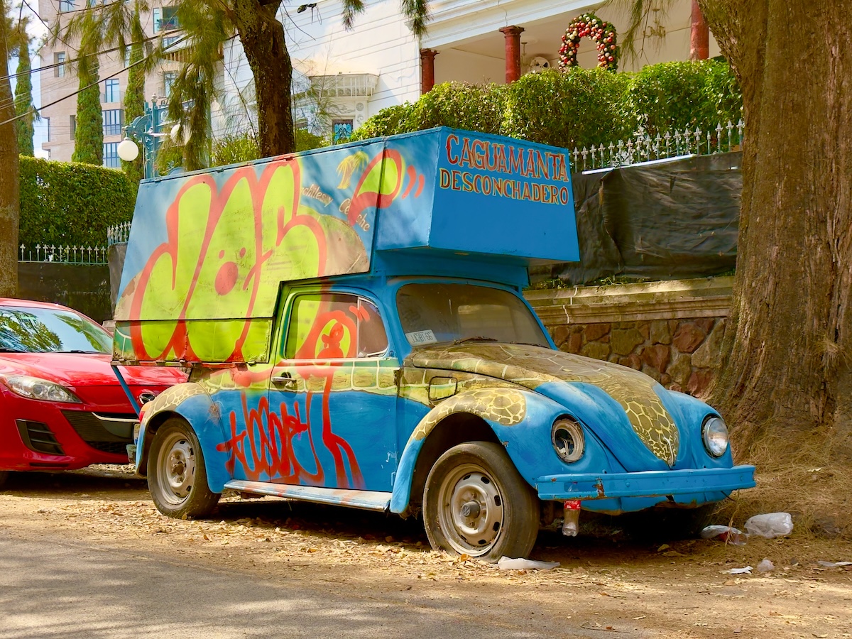 Customized VW