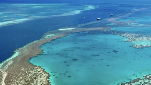 Blue skies over the reef