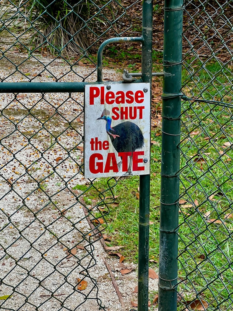 Cassowary warning sign