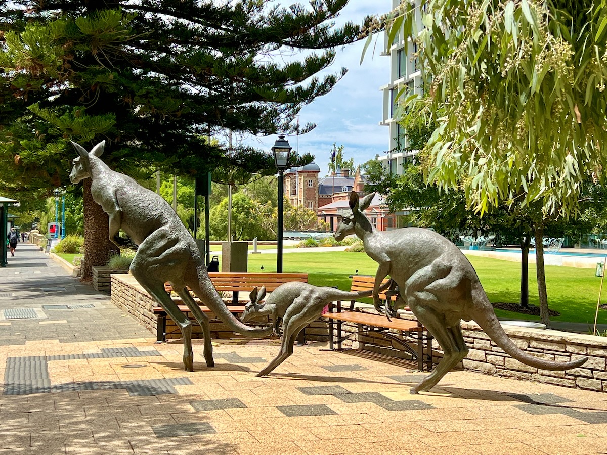 Kangaroo sculptures at the Perth Council House