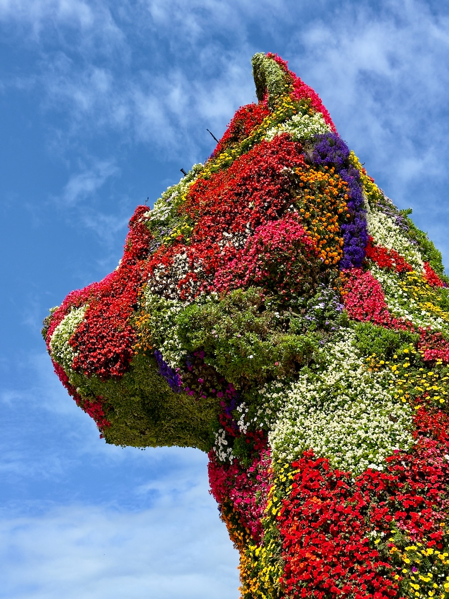 Puppy by Jeff Koons
