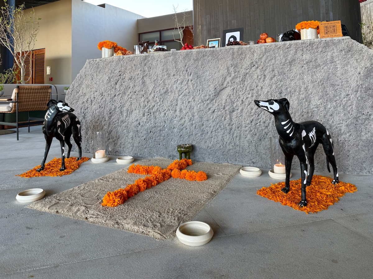 Pet ofrenda with Xoloitzcuintli dogs