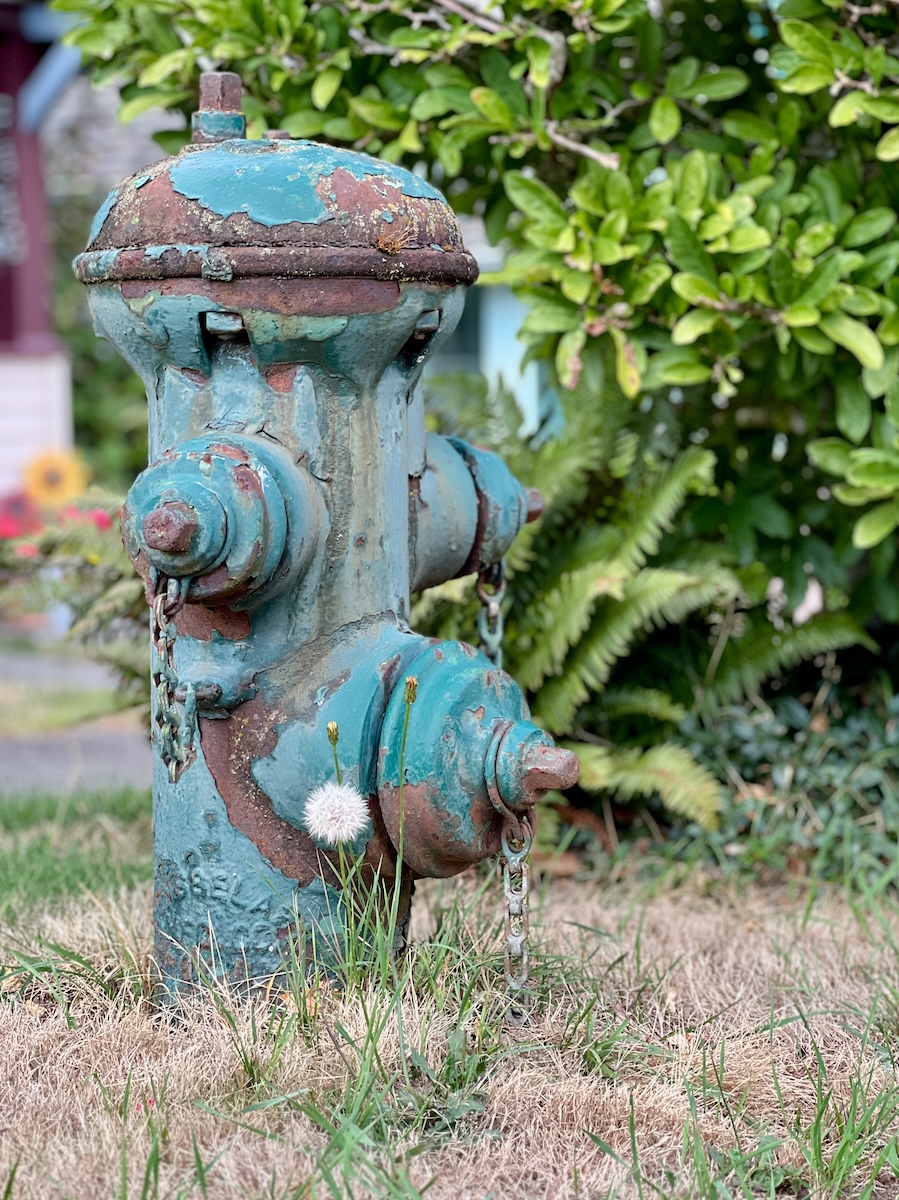 Fireplug