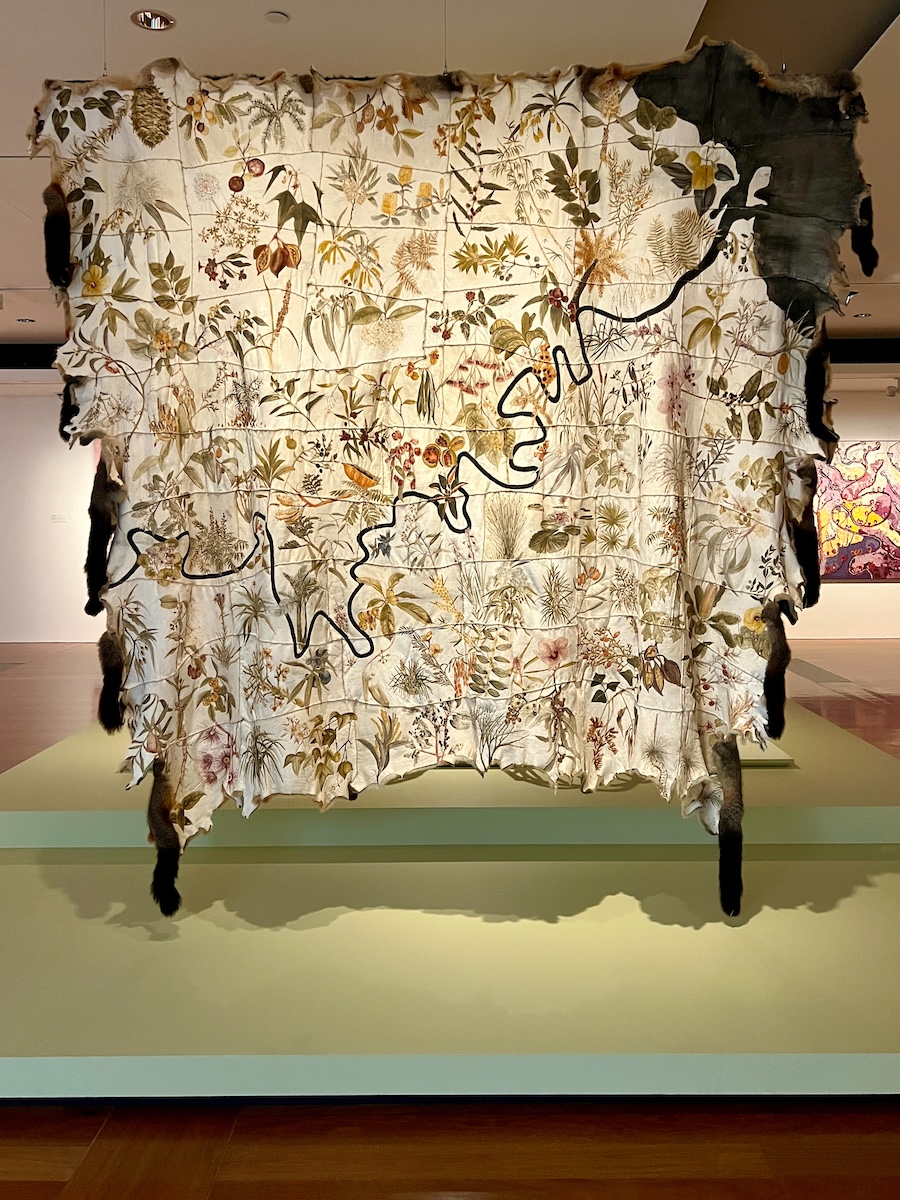Skin Country by Carol McGregor (2018)