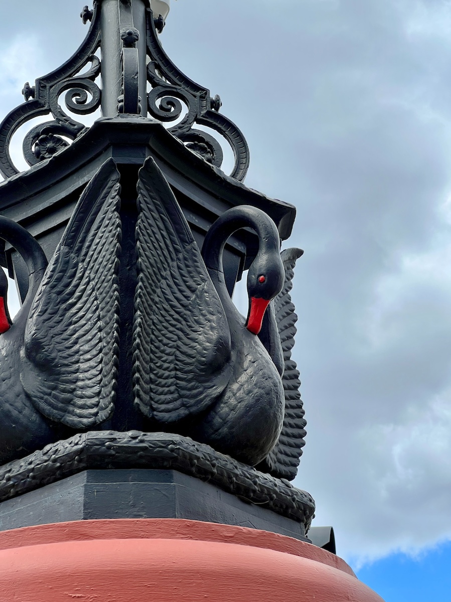 Black swans light post