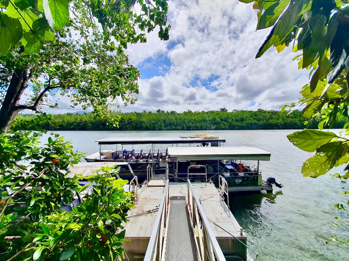 On the Daintree River
