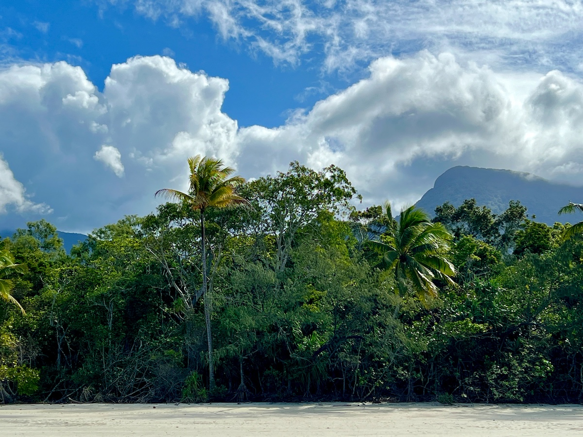 Cape Tribulation