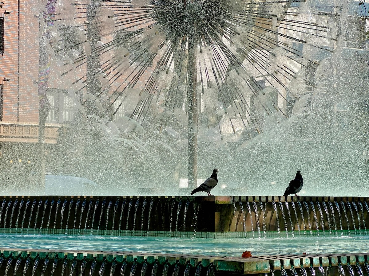 El Alamein Fountain in Potts Point