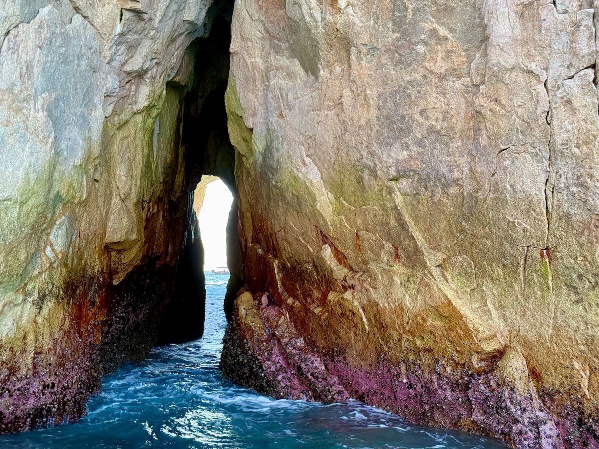 Window to the Pacific