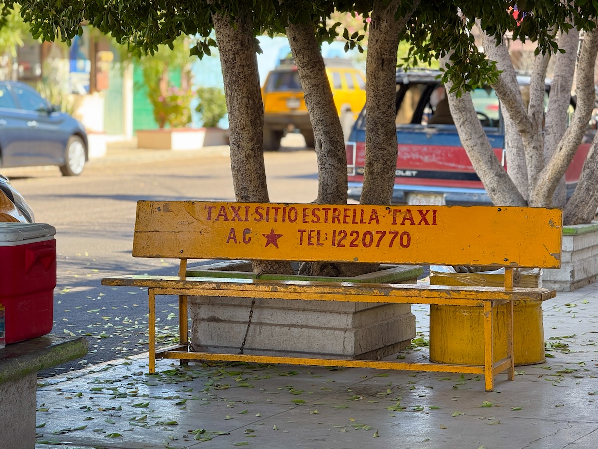 Estrella Taxi bench