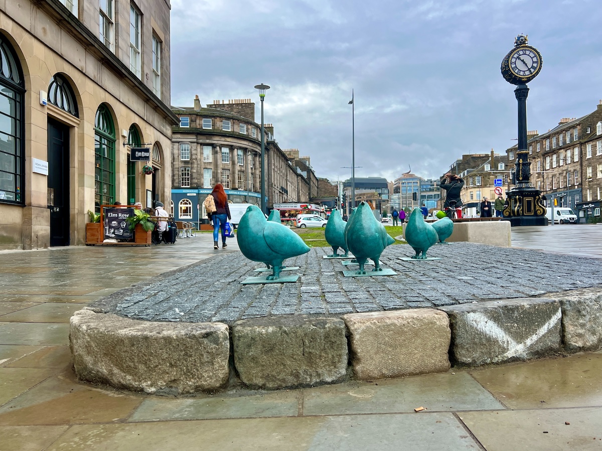 Elm Row pigeons on Leith Walk