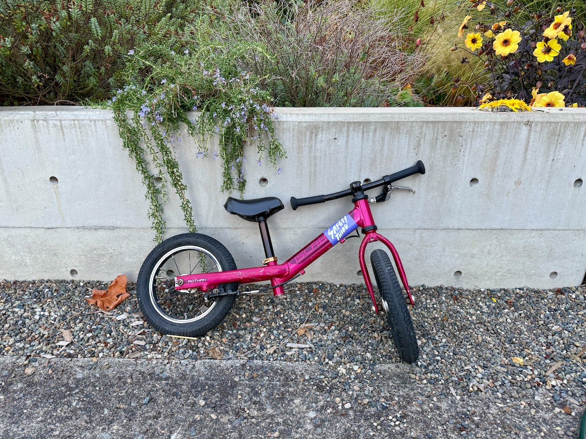 Abandoned bike