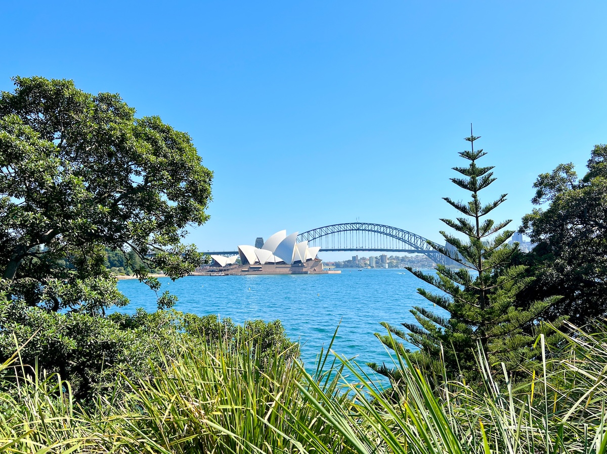 View from Mrs Macquaries Point