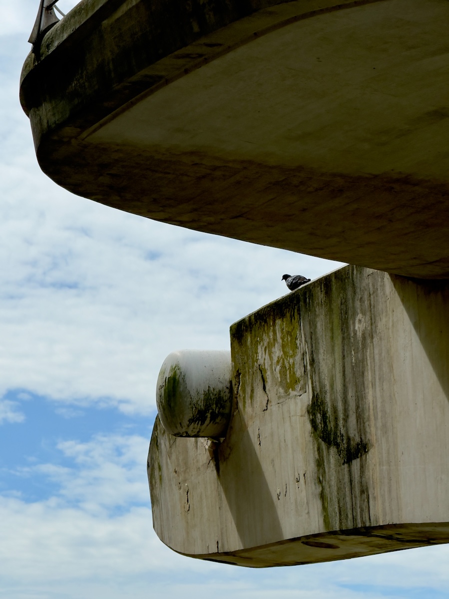 Under the Zubizuri Bridge