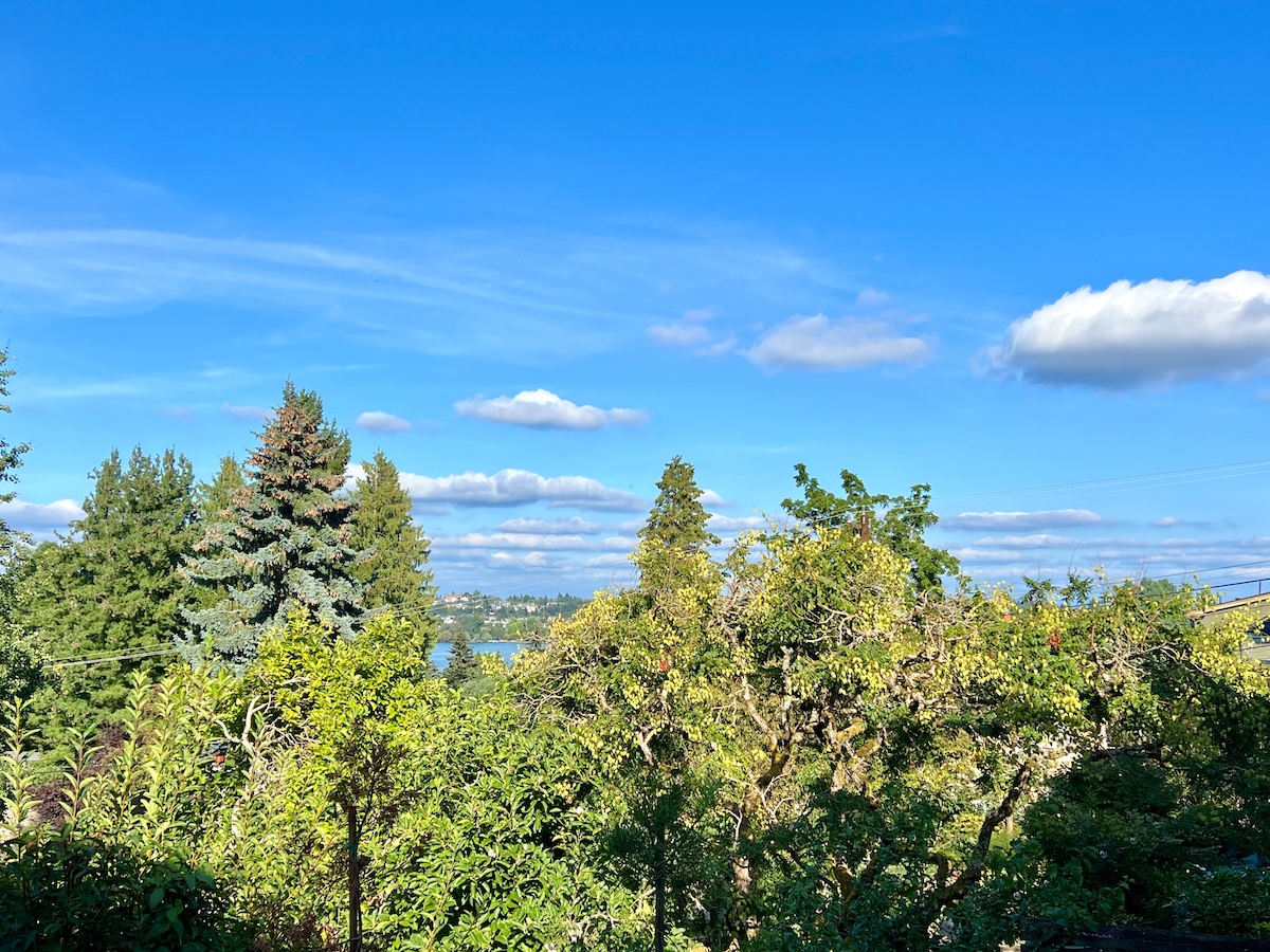 Looking over Green Lake
