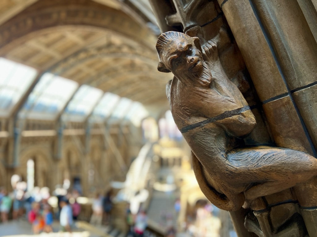 Carving detail in the Natural History Museum