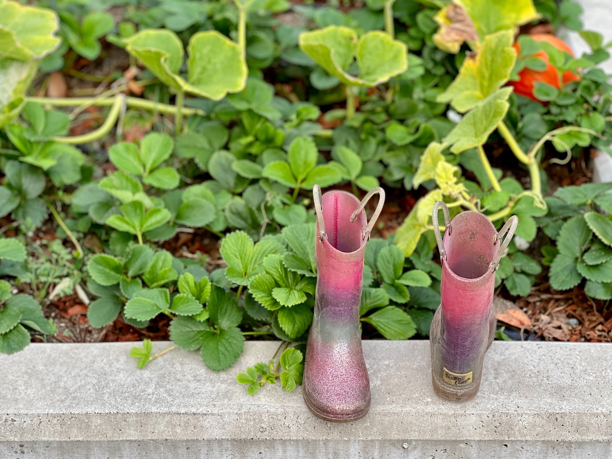 Child's boots