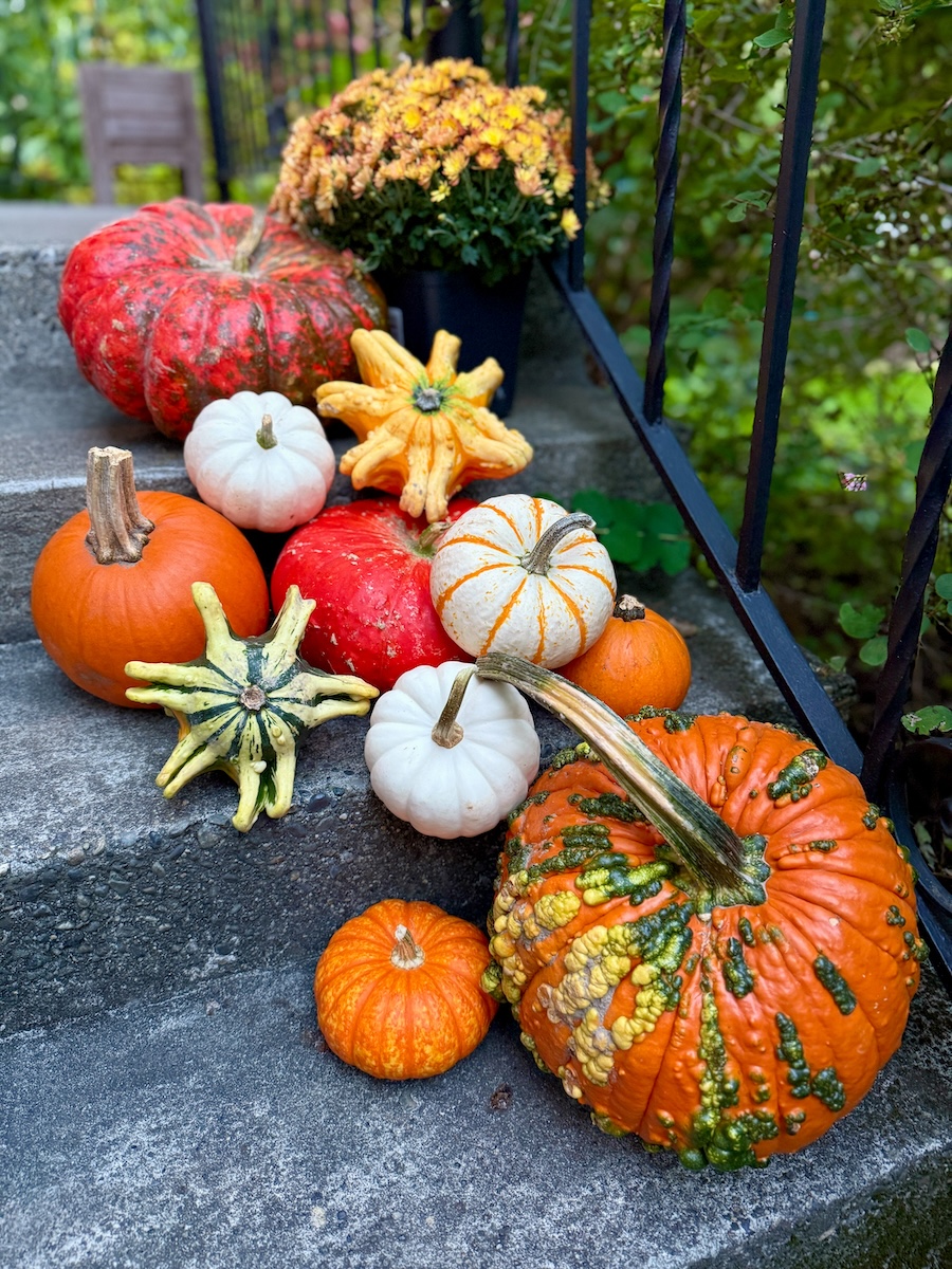 Pumpkins
