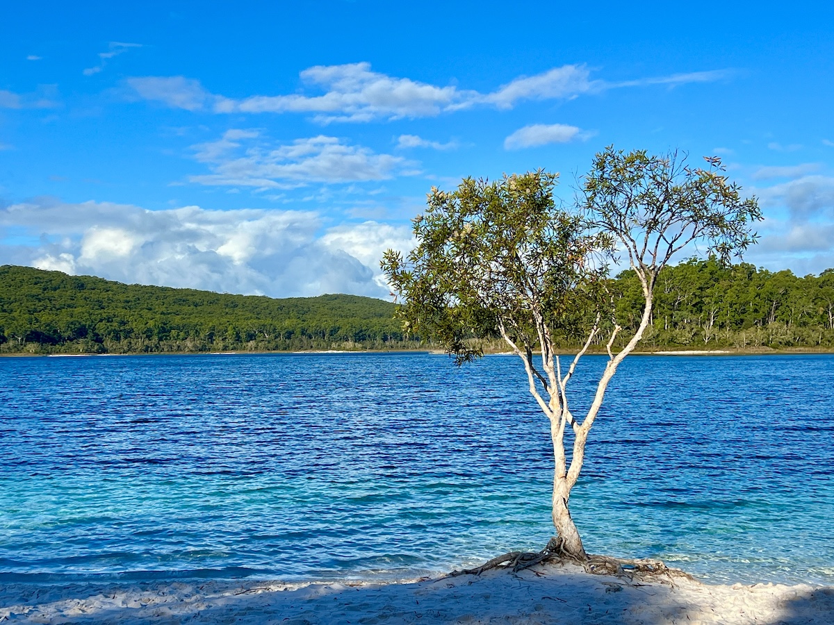 Boorangoora/Lake McKenzie