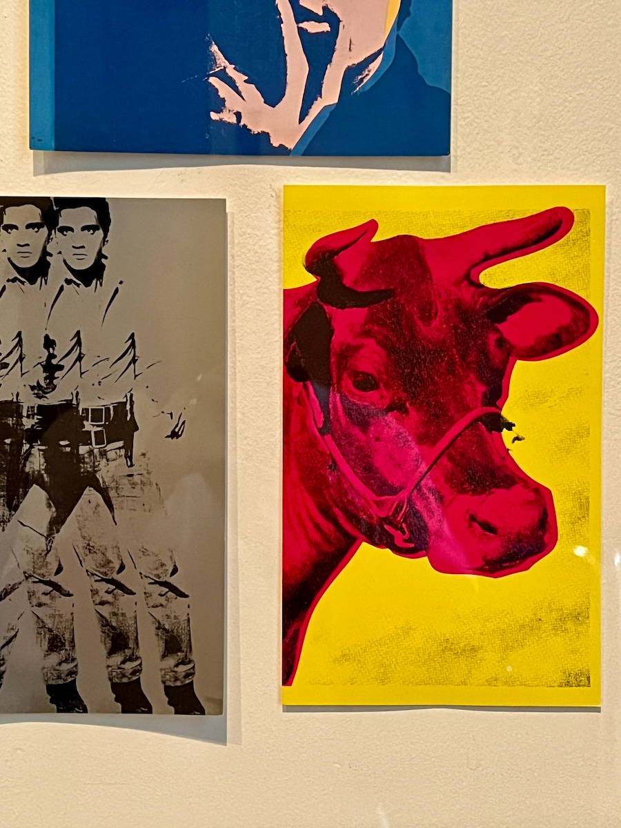 Cow and Elvis by Andy Warhol, AGSA