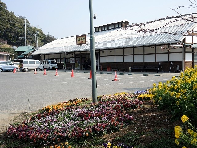 2014/03/12　千葉県 南房総市「おおつの里」　広い温室があり花摘みもできます。