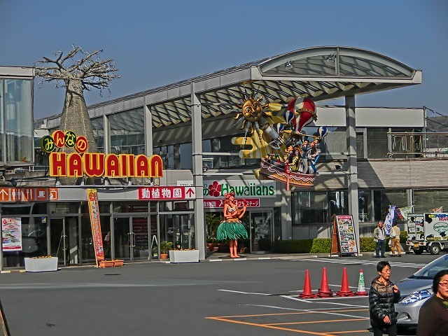 2013/03/07　静岡県 伊豆の国市「伊豆のへそ」　伊豆の真ん中にあるので「伊豆のへそ」と云うらしい。とてもハワイアンな施設です。わさびソフトおすすめです。