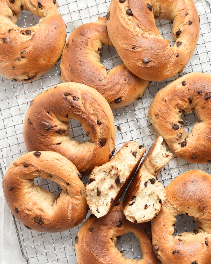 Chocolate Chip Bagel Thermomix Rezept