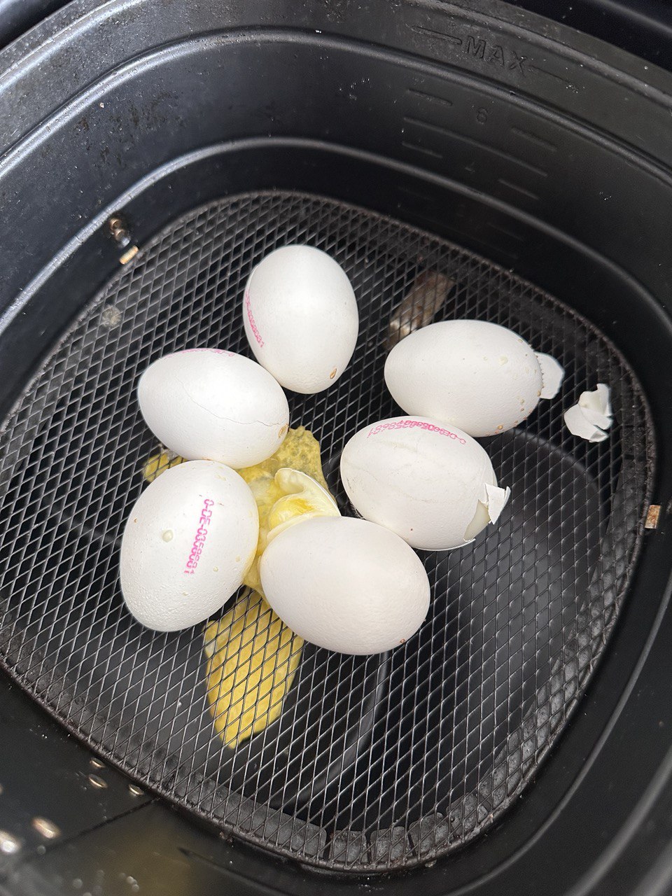 Gekochte Eier und Aufbackbrötchen. Aus dem Airfryer. mix dich glücklich (ThermomixRezepte)
